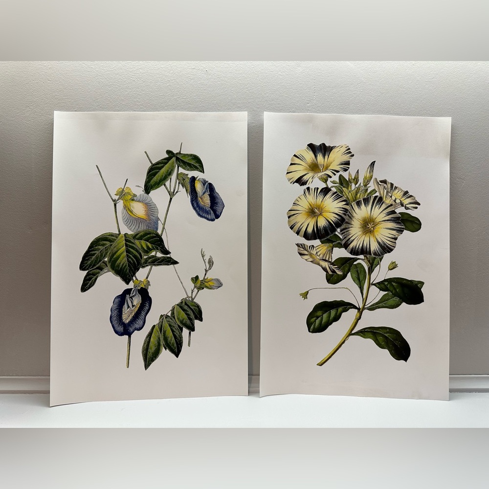 Floral Prints